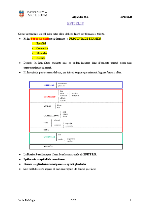 Miniatura del documento EPITELIS-Documentos-de-Google.pdf
