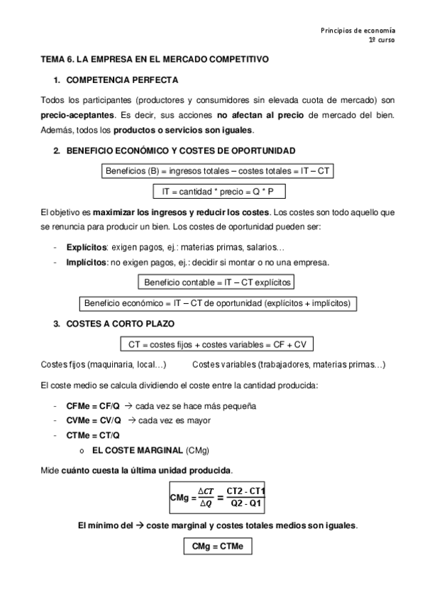 Miniatura del documento TEMA-6-empresa-en-mercado-competitivo.pdf