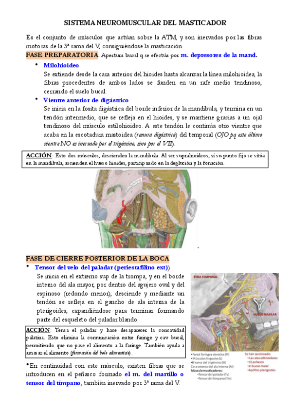 Miniatura del documento 6.pdf
