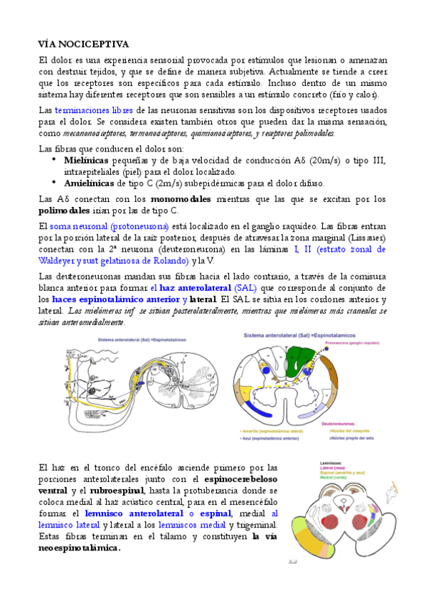 Miniatura del documento 31.pdf