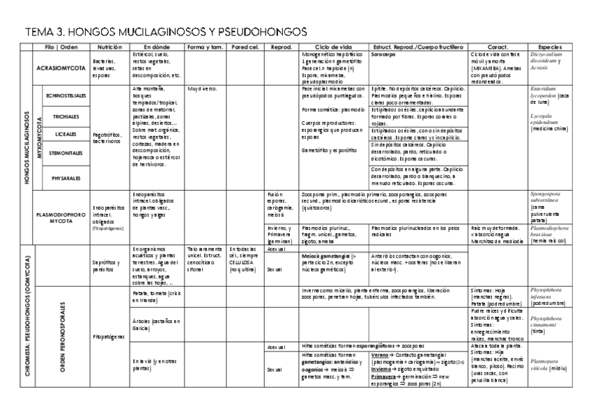 Miniatura del documento Tablas-resumen-T.pdf
