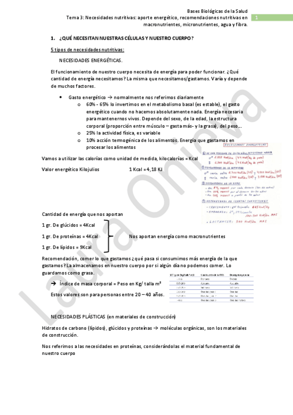 Miniatura del documento Tema 3.pdf