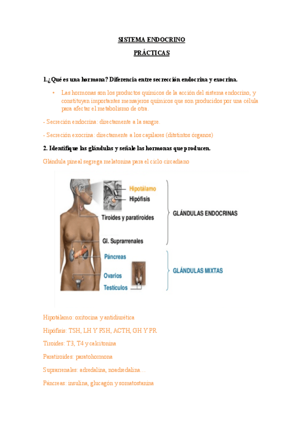 Miniatura del documento SISTEMA-ENDOCRINO-practicas21.pdf