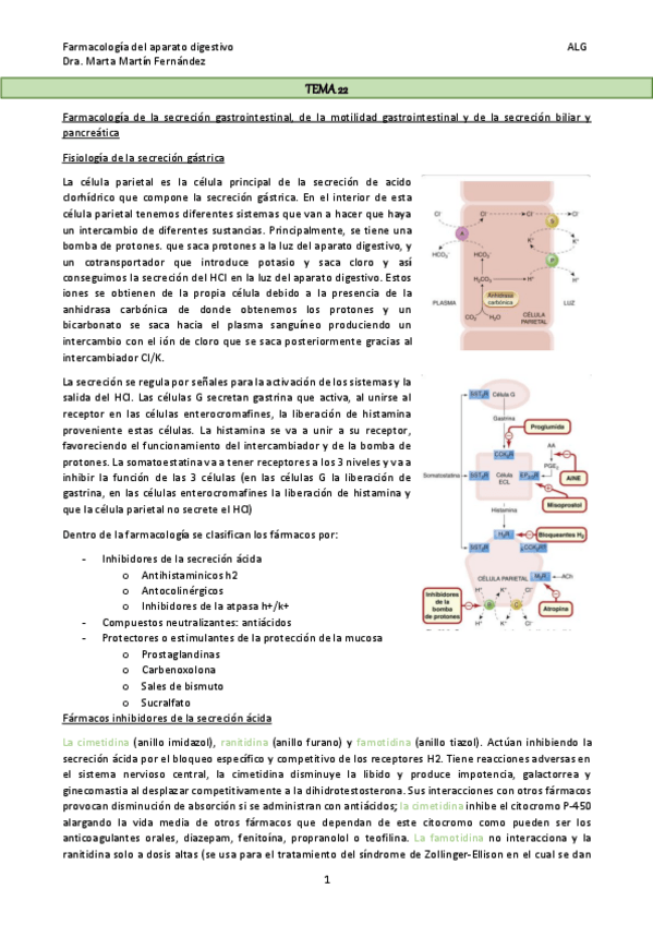 Miniatura del documento TEMA-22.pdf