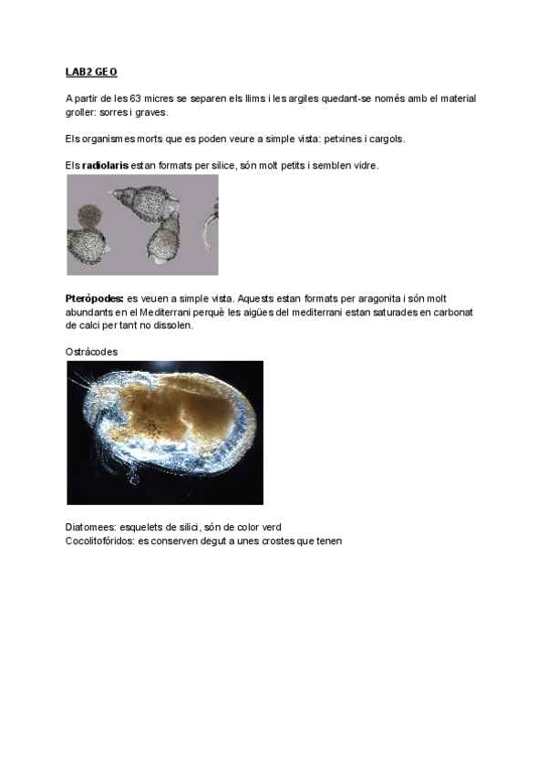 Miniatura del documento GEO.pdf