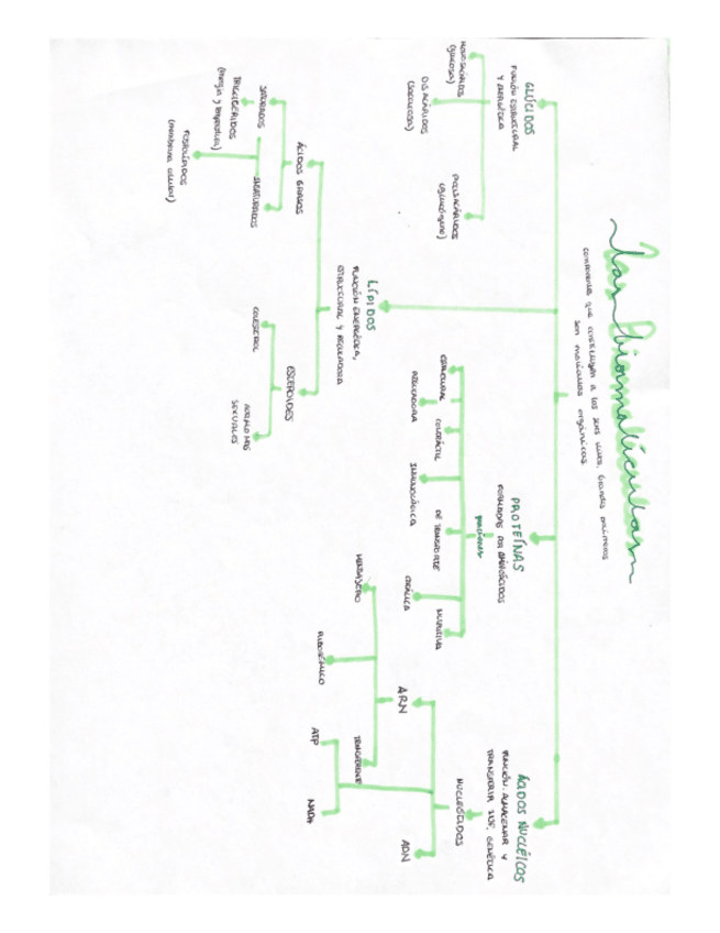 Miniatura del documento Esquemas-bases-1a-parte.pdf