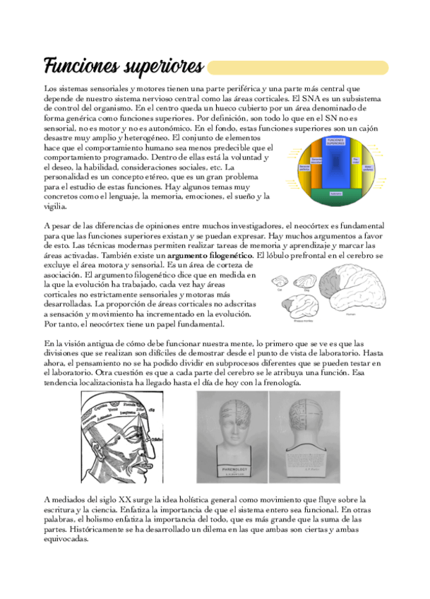 Miniatura del documento 09-Funciones-superiores.pdf