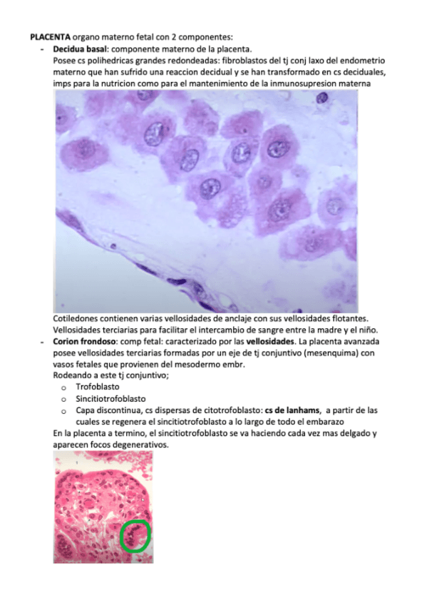 Miniatura del documento placenta.pdf