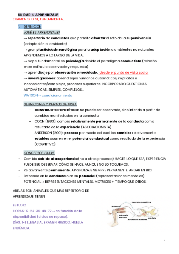 Miniatura del documento UNIDAD-4-2.pdf