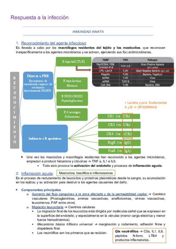 Miniatura del documento Respuesta-a-la-infeccion.pdf