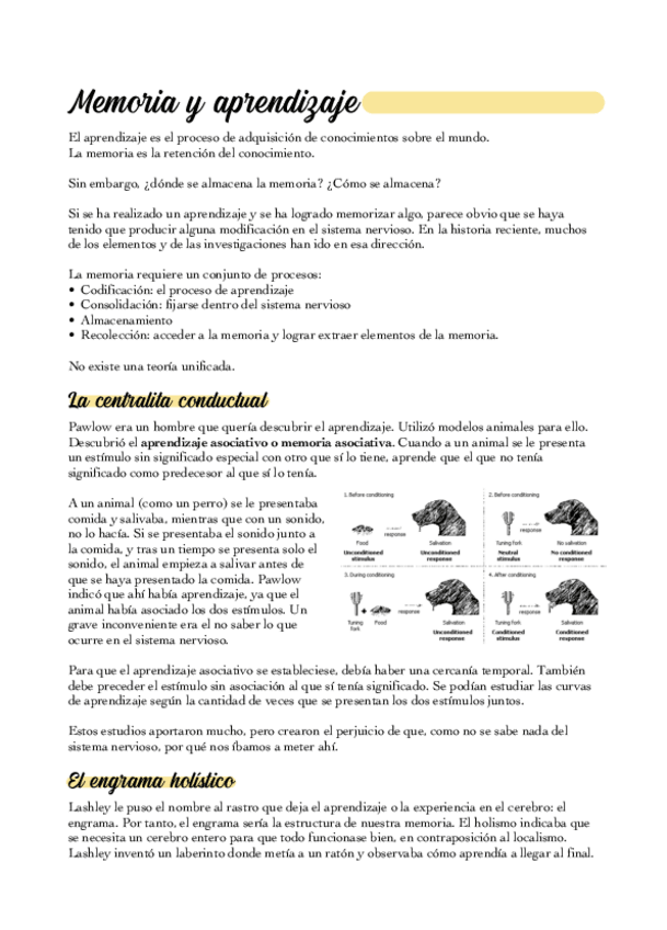 Miniatura del documento 10-Memoria-y-aprendizaje.pdf