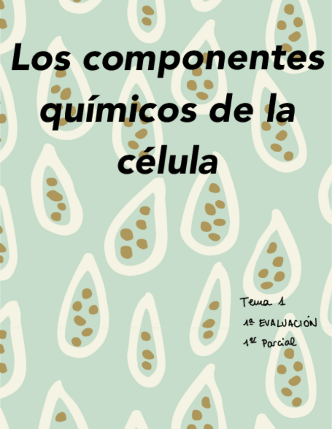 Miniatura del documento Tema-1.pdf