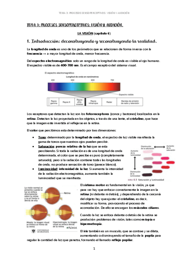 Miniatura del documento T3.1-la vision.pdf
