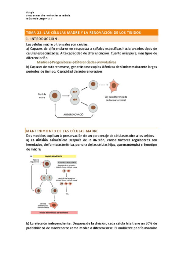 Miniatura del documento Tema 22 células madre.pdf