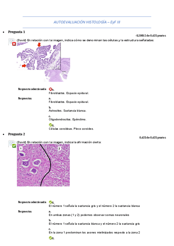 Miniatura del documento AUTOEVALUACION-HISTOLOGIA.pdf
