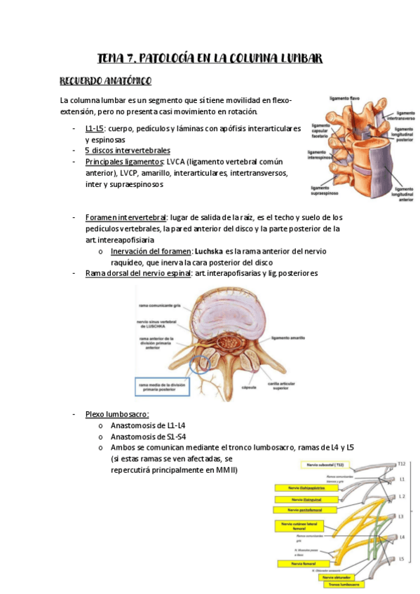 Miniatura del documento Tema-7-AFMQ-II.pdf