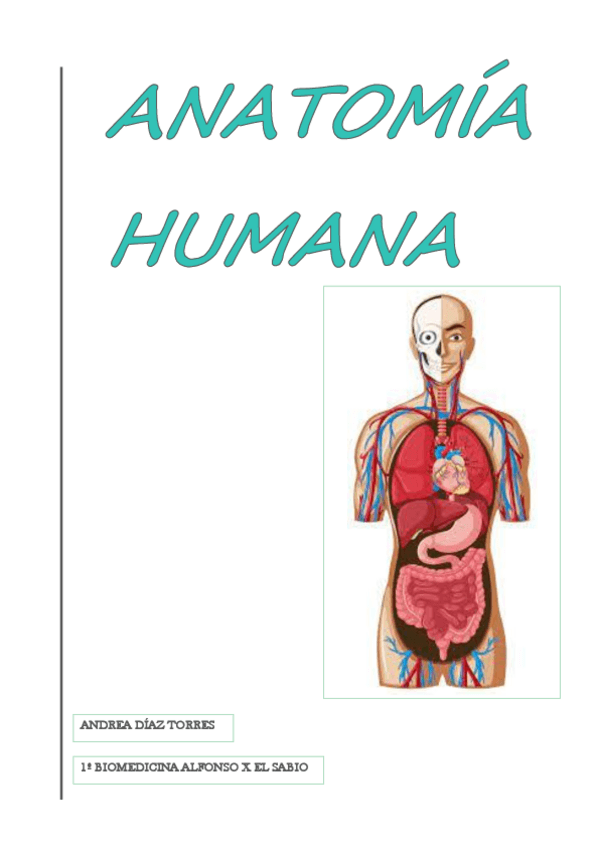 Miniatura del documento ANATOMIA.pdf