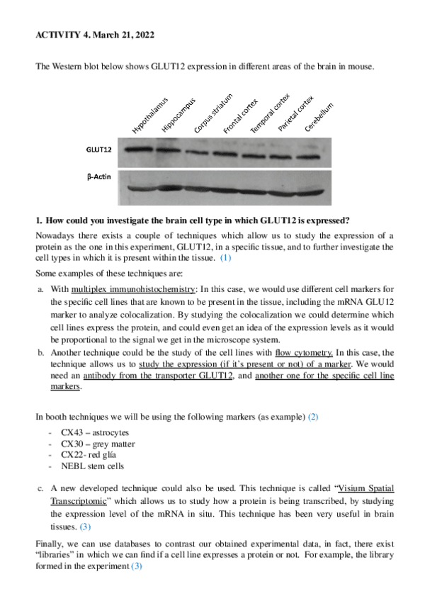 Miniatura del documento Activity-4.pdf