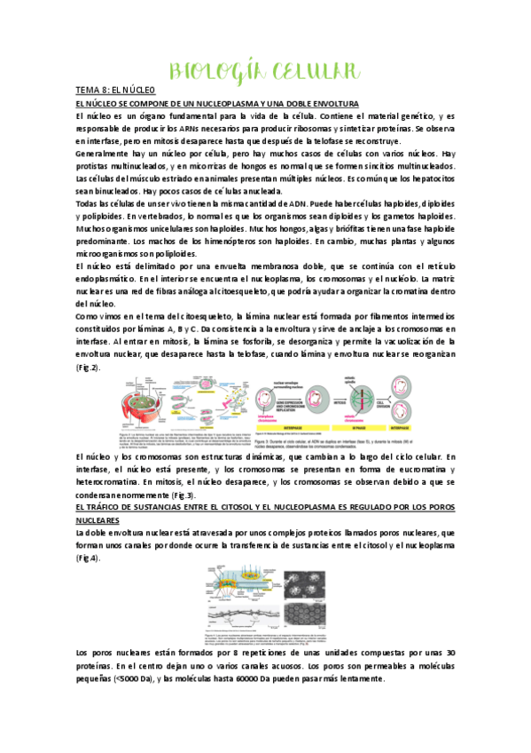 Miniatura del documento tema-8.pdf