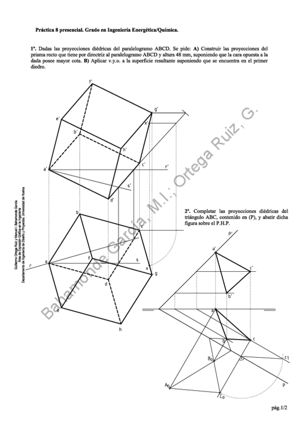 Miniatura del documento sol-PP8.pdf