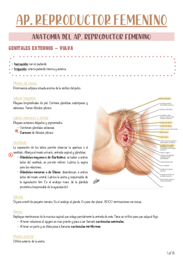 Miniatura del documento Todo-EVOLUTIVA-I.pdf