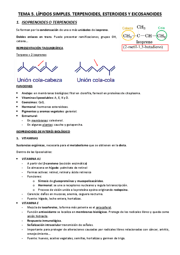Miniatura del documento TEMA-5.pdf