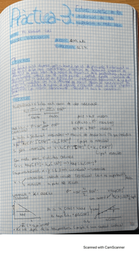 Miniatura del documento P3LEILAMEIQUIFI.pdf