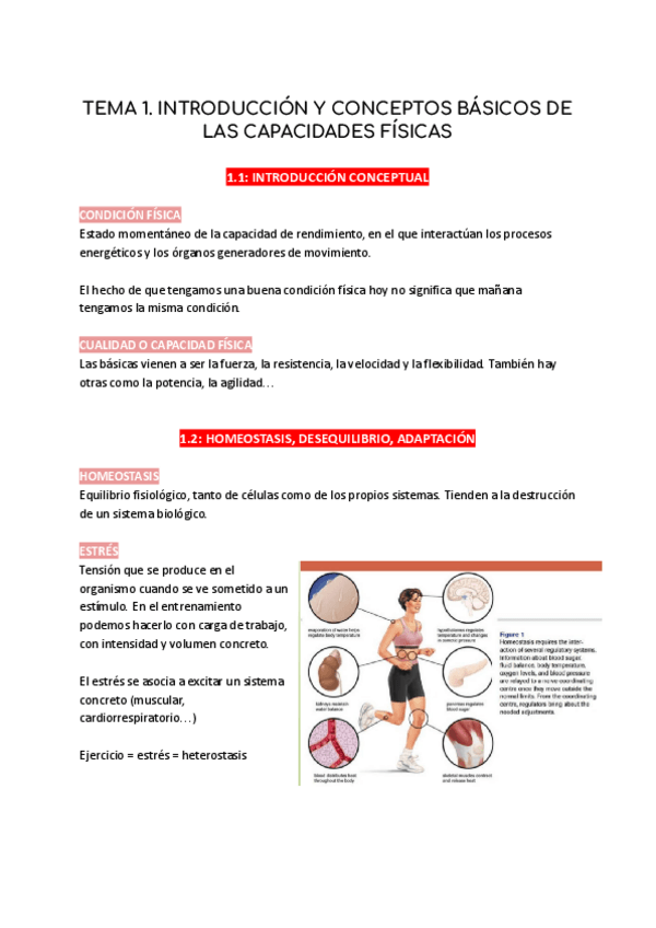 Miniatura del documento TEMA-1-METODOLOGIA.pdf