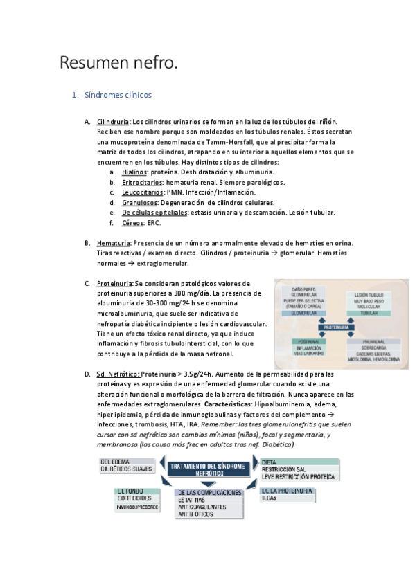 Miniatura del documento Resumen-nefro.pdf