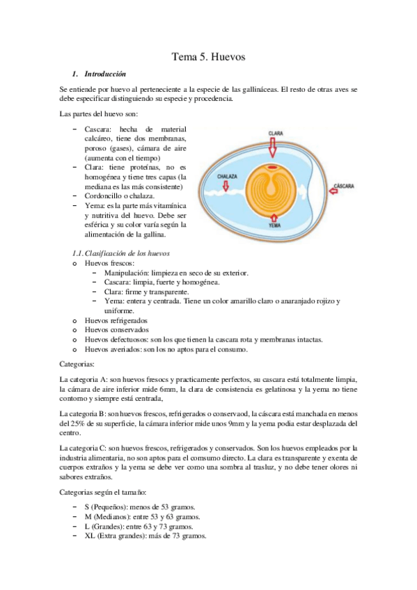 Miniatura del documento Tema-5.pdf