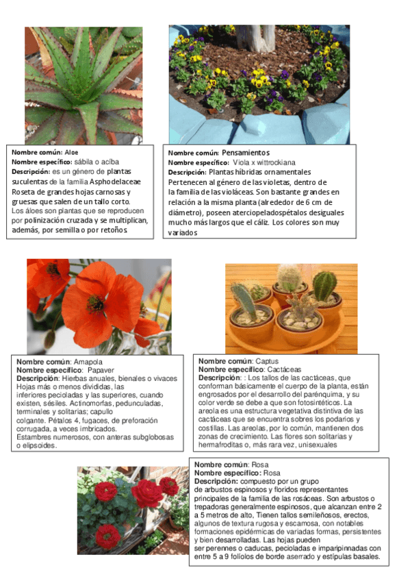 Miniatura del documento plantas imprimir.pdf