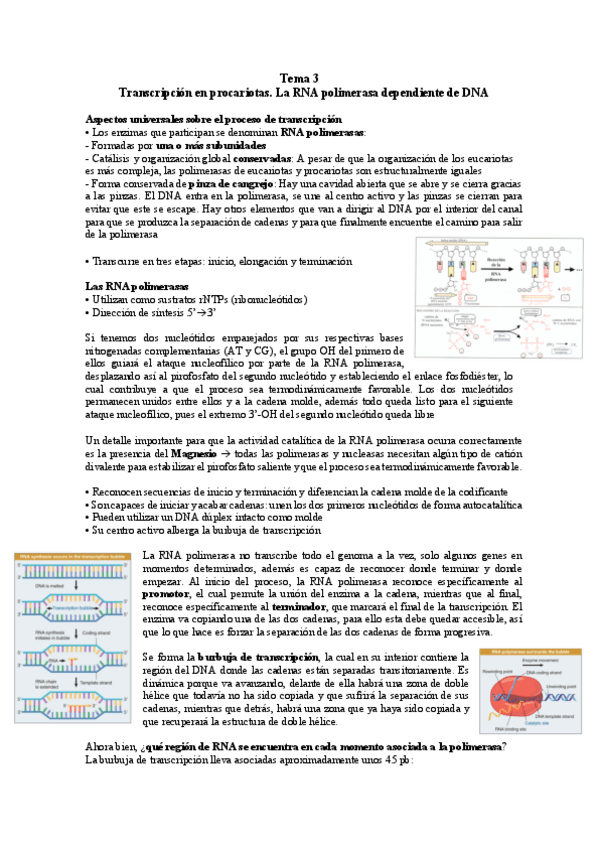 Miniatura del documento TEMA-3.pdf
