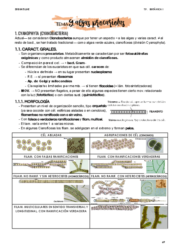 Miniatura del documento Tema-9.pdf