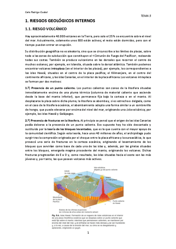 Miniatura del documento TEMA-5.pdf