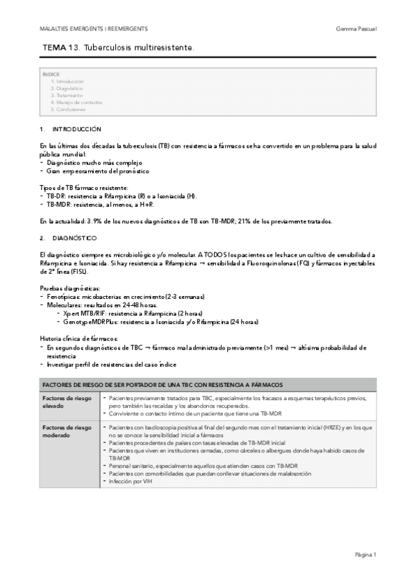 Miniatura del documento MEM13.pdf