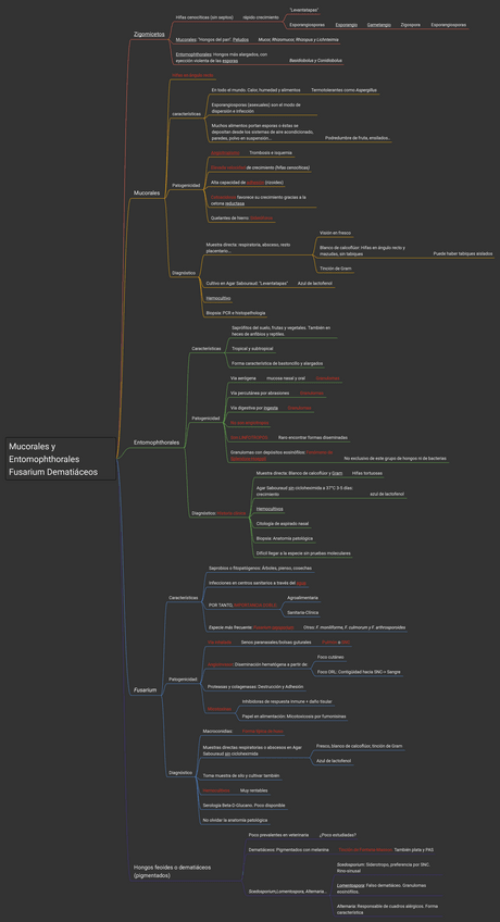 Miniatura del documento Mucorales-Entomophthorales-etc-esquema.pdf