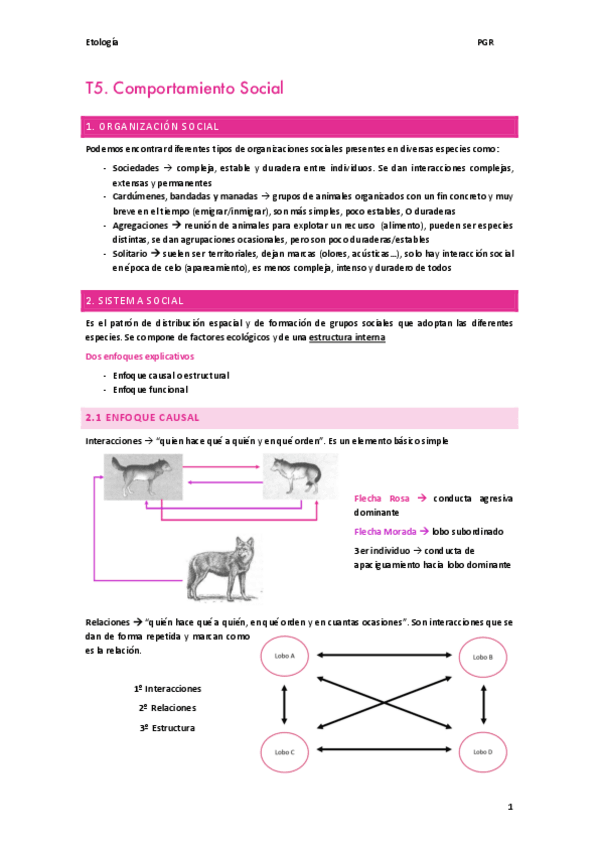 Miniatura del documento T5.pdf