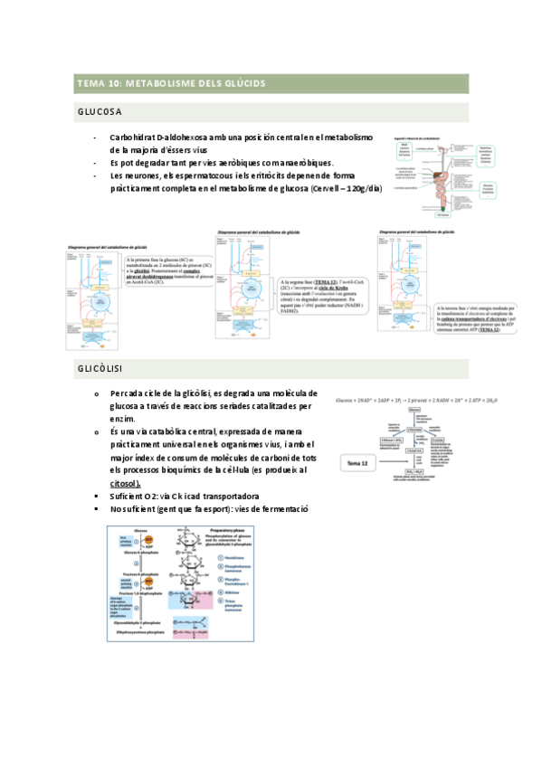 Miniatura del documento TEMA-10.pdf