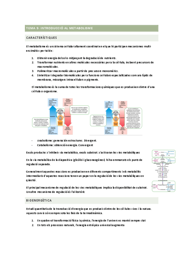 Miniatura del documento TEMA-9.pdf