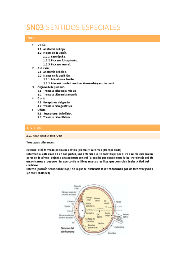 Miniatura del documento FISIOLOGIA-SN03.pdf