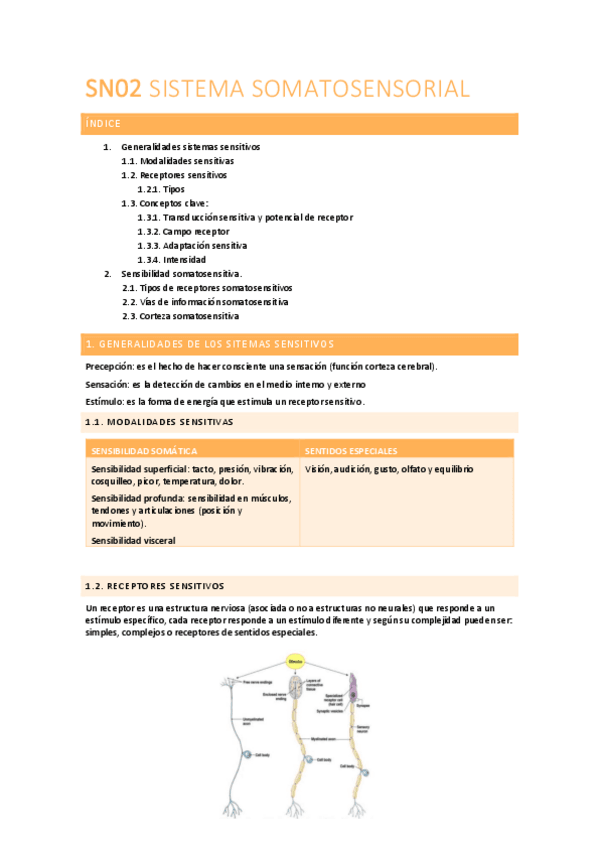 Miniatura del documento FISIOLOGIA-SN02.pdf