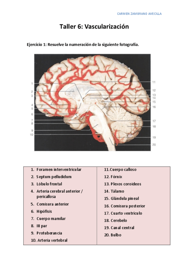 Miniatura del documento TALLER-6.pdf