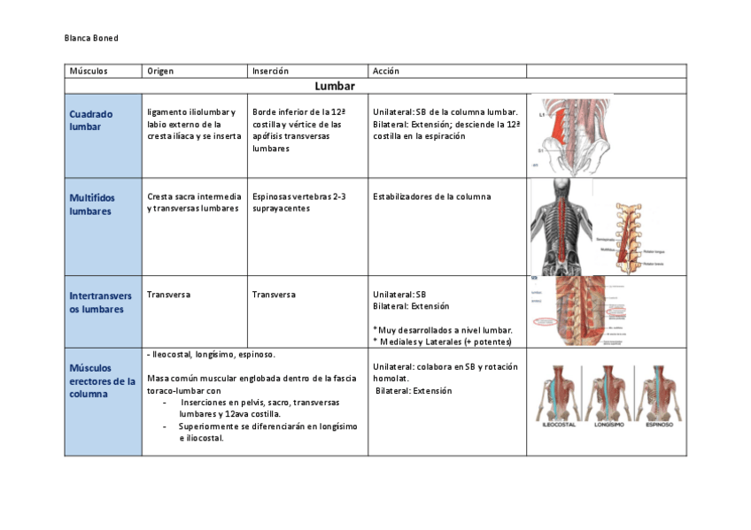 Miniatura del documento Musculatura-lumbar-y-abdominal--imp-ASNEME.pdf