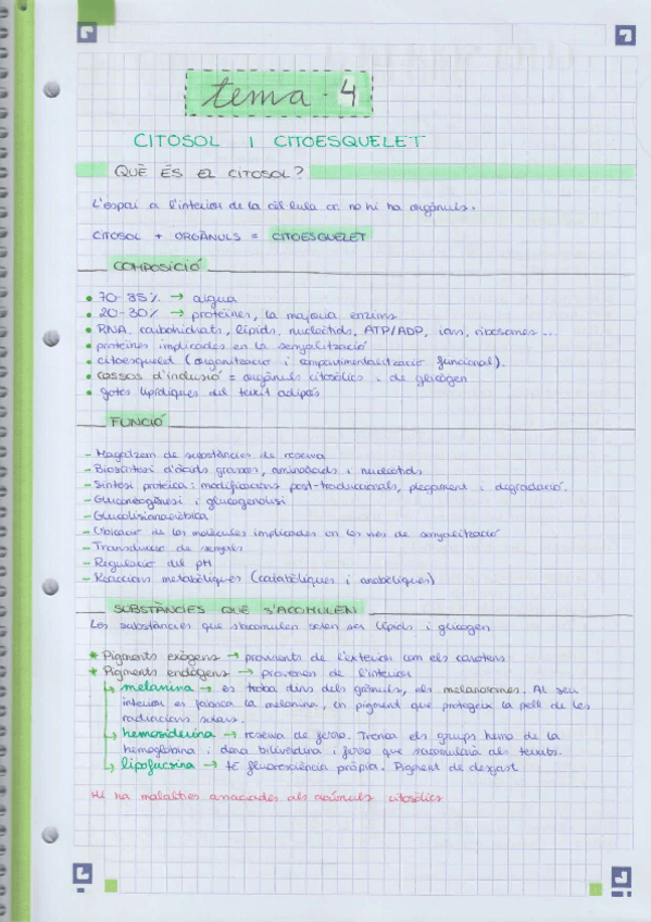 Miniatura del documento citosol-i-citoesquelet.pdf