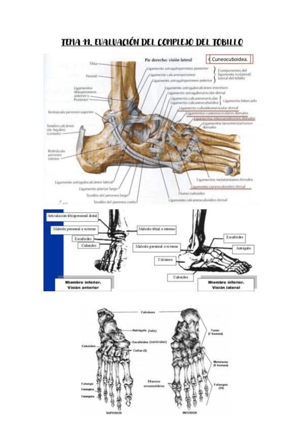 Miniatura del documento Tema-11-valoracion.pdf