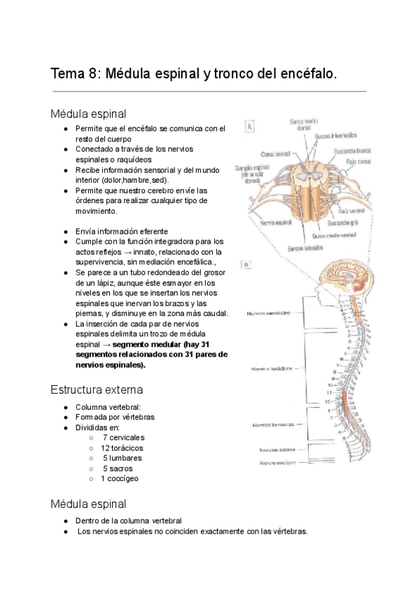 Miniatura del documento Fundamentos-biologivos-de-la-conducta-Tema-8.pdf