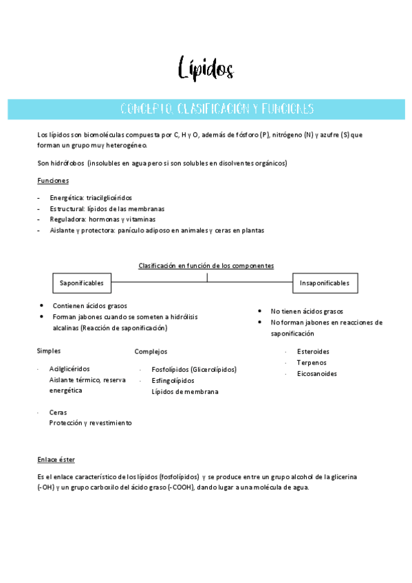 Miniatura del documento Tema 4-Lipidos.pdf
