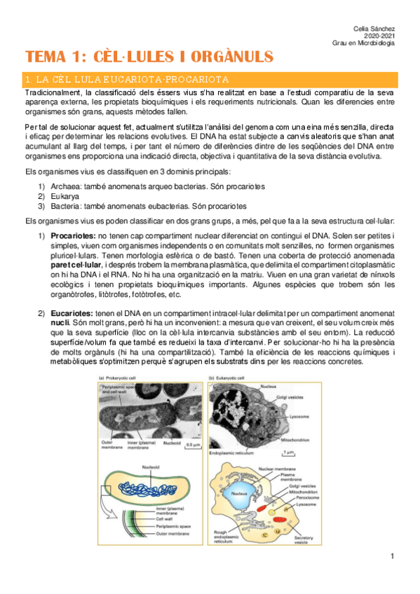Miniatura del documento Tema-1.pdf