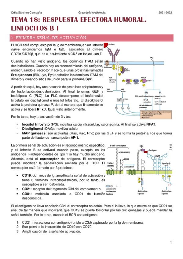 Miniatura del documento Tema-18.pdf