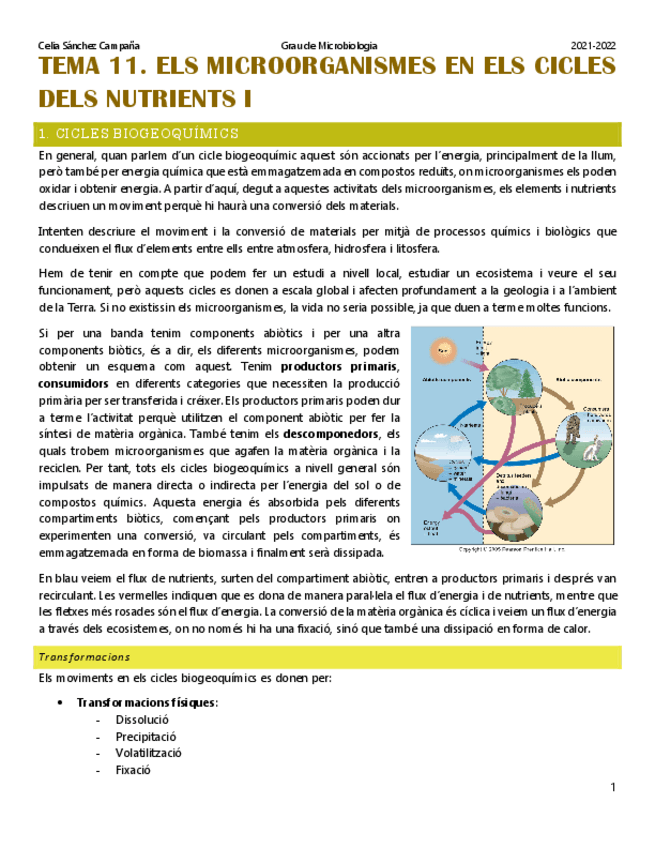 Miniatura del documento Tema-11.pdf